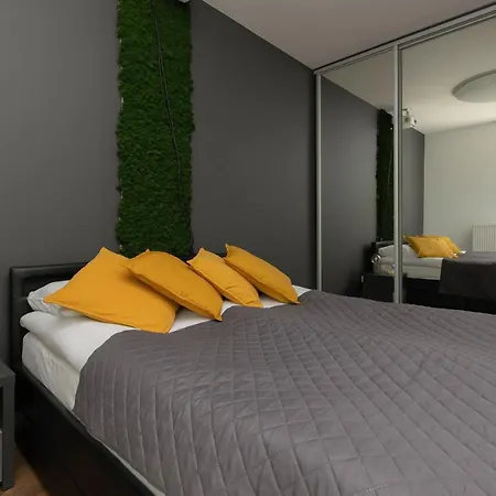 Modern Cinema Experience By Renters